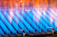 Fox Lane gas fired boilers